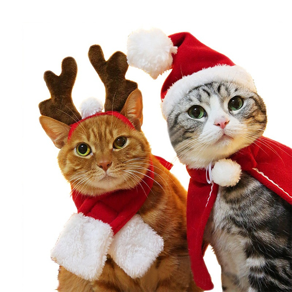 cat and the hat clothes