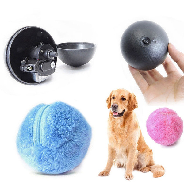 Pet fashion magic ball