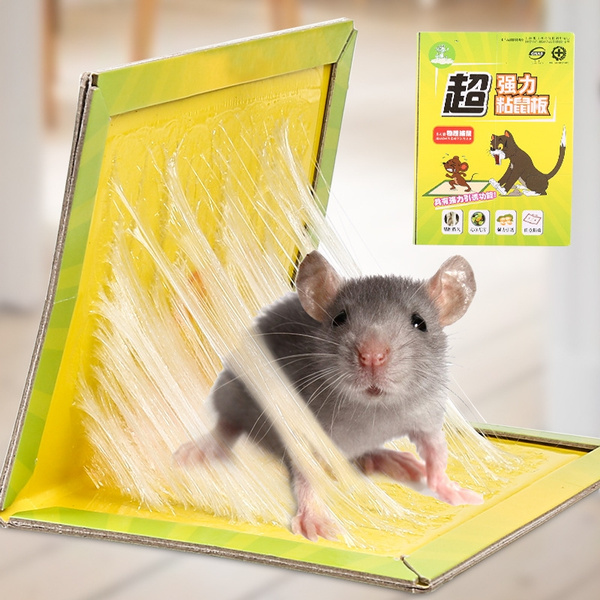 Large Mouse Trap Glue Board