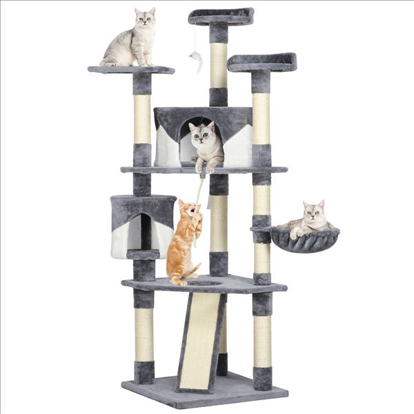 cat tree wish
