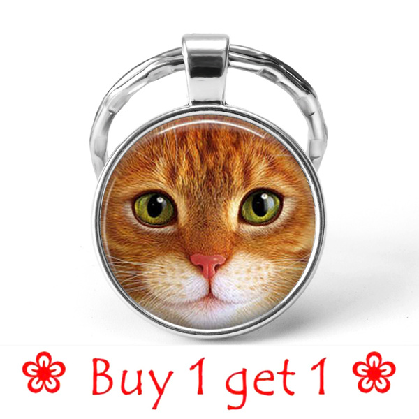 tabby cat accessories
