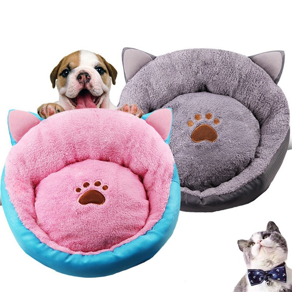 pets at home cat beds
