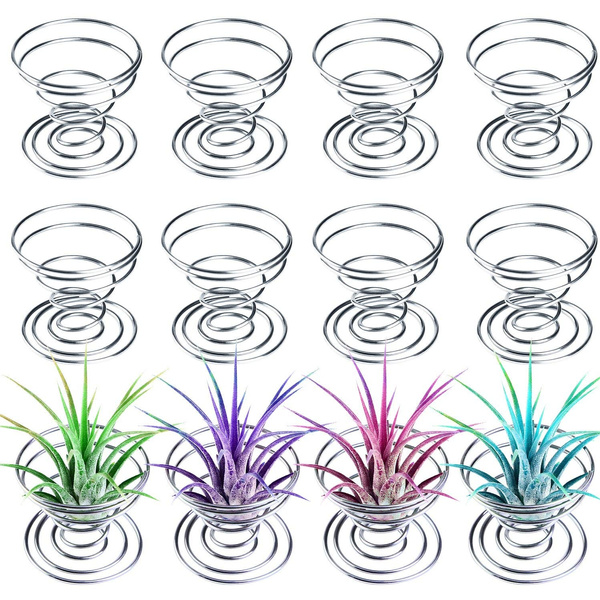 12 Pieces Air Plant Stand Airplant Container Tillandsia Holder Stainless Steel Plant Display
