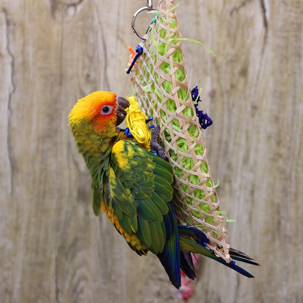 parakeet foraging toys