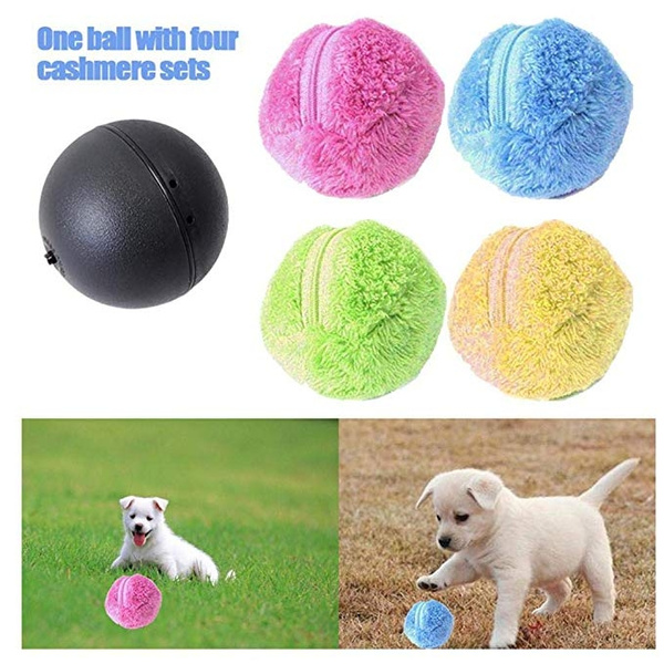 magic roller ball dog toy