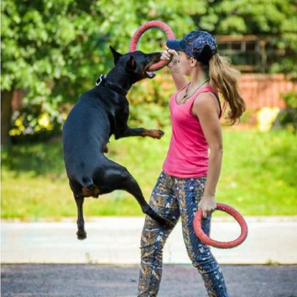agility training toys