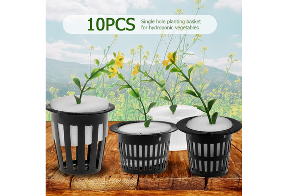10pcs Hydroponic Vegetable Planting Basket Flower Soilless Cultivation Tray PE 