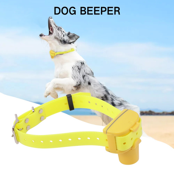 dog buzzer collar