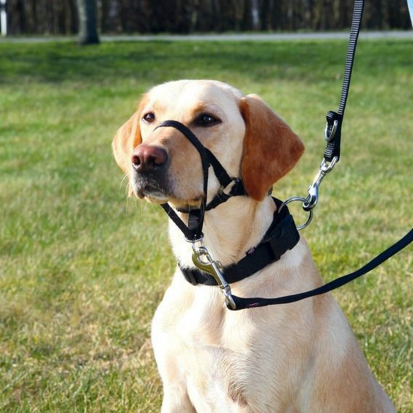 Muzzle leash clearance