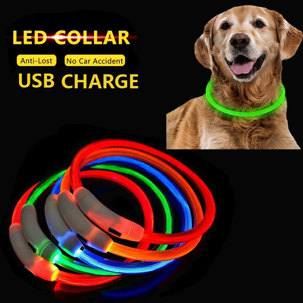 lighted dog collars