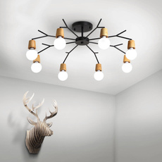 Chandelier, Illuminazione, Pendant, halllightfixture