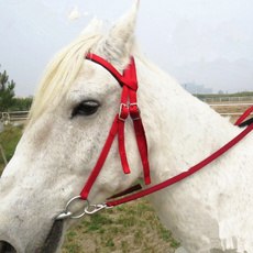 Rope, horse, Fashion, pony