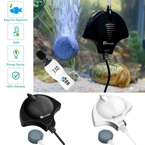 How to Use an Aquarium Air Pump (and Make Them Quieter) – Aquarium