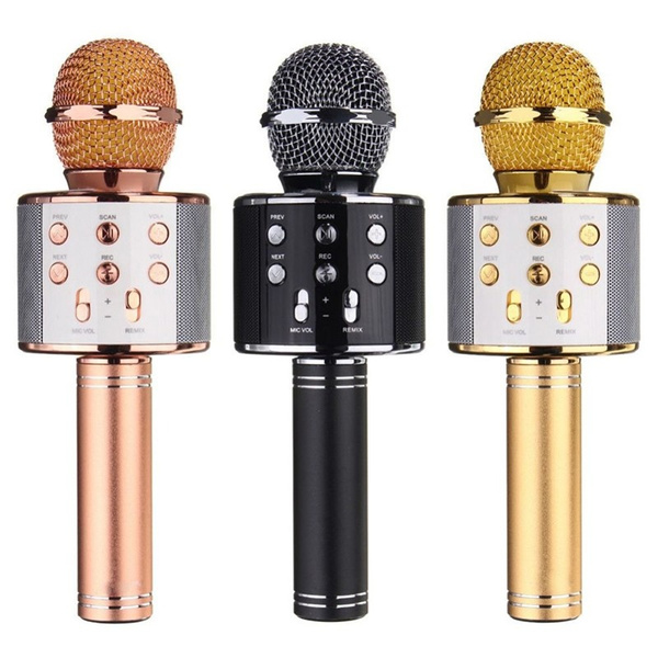 Microphone and sales speaker for singing