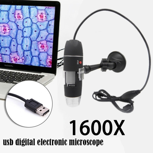 topping, dac, Amplifier, usbopticalcoaxialbnc