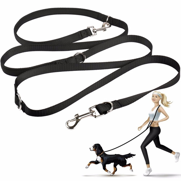 multifun dog training collar
