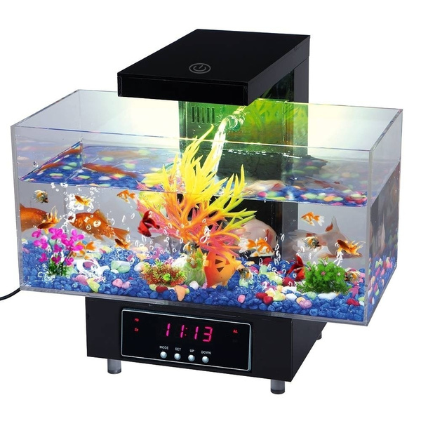 wish fish tank
