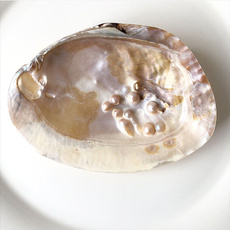 clamshell, shells, Joyería de pavo reales, ashtray