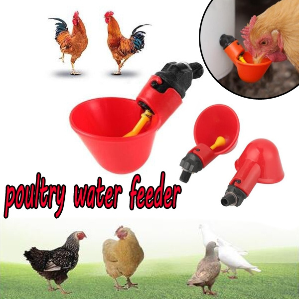 5 Packs Poultry Water Drinking Cups-Plastic Chicken Hen Automatic Drinker Red 