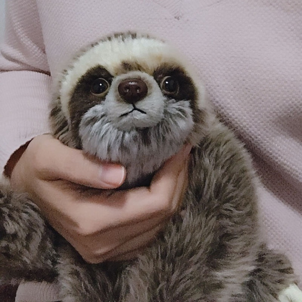 Cute sloth best sale toy