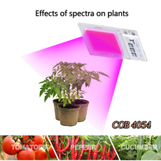 Plants, Indoor, led, lights