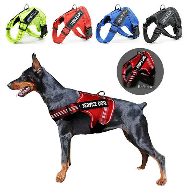 Wish cheap dog harness