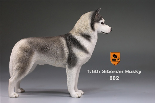 MR.Z 1/6 Siberian Husky Dog 6 Colors Resin Simulation Model 14*18*6cm 1/PK