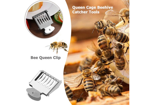 5 Stück Queen Clip Catcher für Bee Hive Imkerei