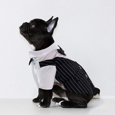 Pet Supplies: International Shipping Available, Tuxedos, Pets, doggentlemansuit