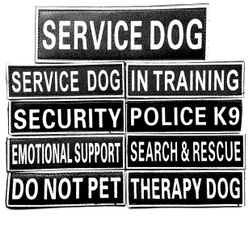 intraining, searchrescue, Police, therapydog