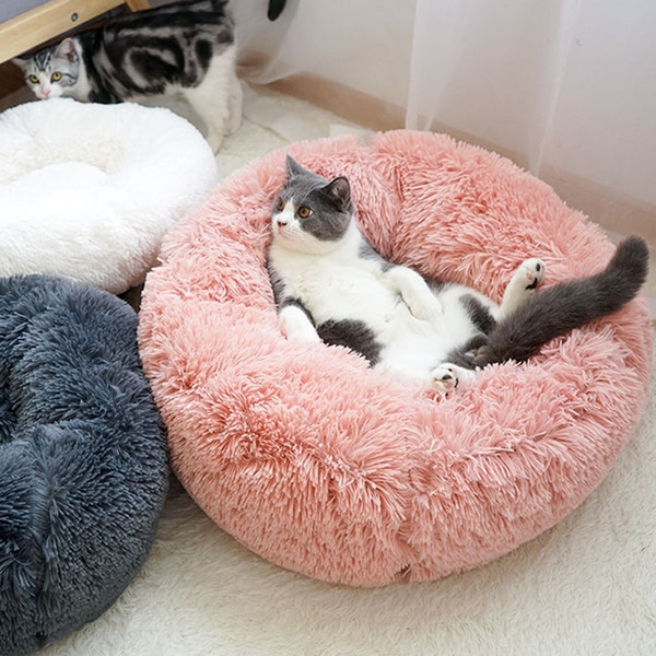 cat blanket