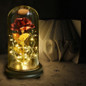 thumbnail - 1