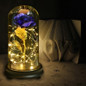 thumbnail - 2