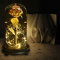 thumbnail - 3