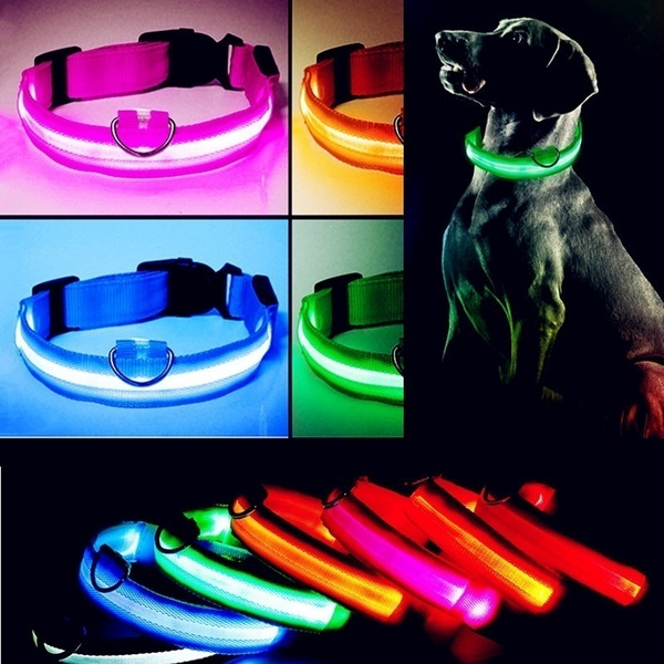 led pet dog collar