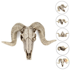 skullmodel, Sheep, Head, skeletonhead