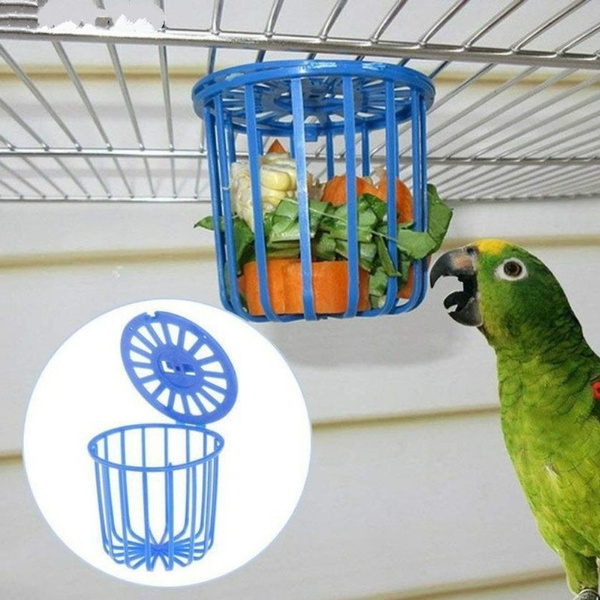 Pet shop bird supplies