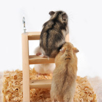 Pet Bird Hamsters Climbing Toys Chew Brige Gerbil Exercise Ladder Cage Decor 