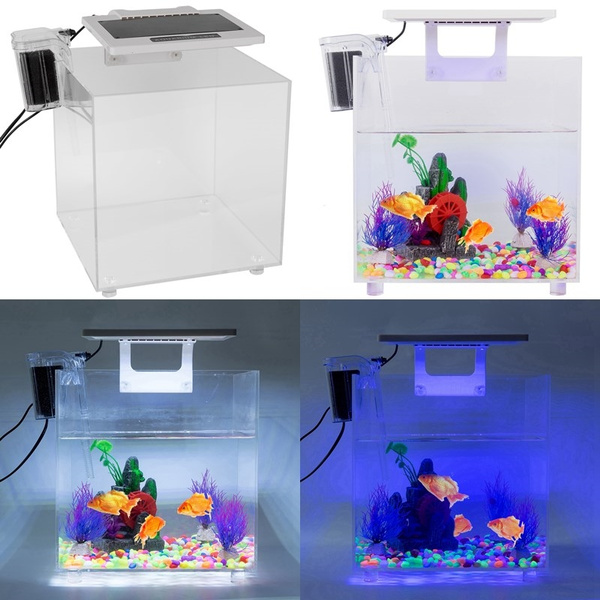 wish fish tank