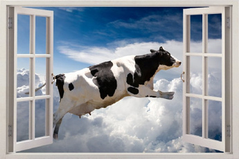 cow, Decor, windowsticker, Home Decor