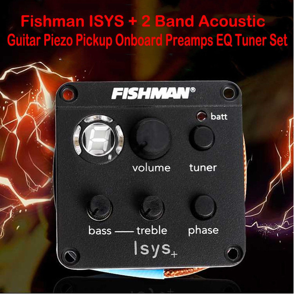 fishman isyst