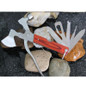 thumbnail - 2