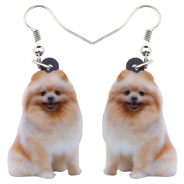 Pomeranian puppy outlet accessories