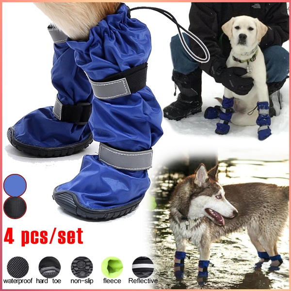 pet supplies plus dog boots