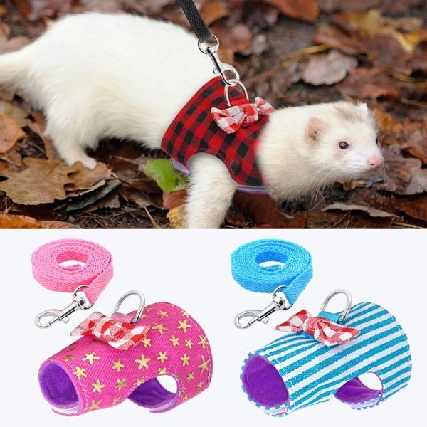 harness for ferrets