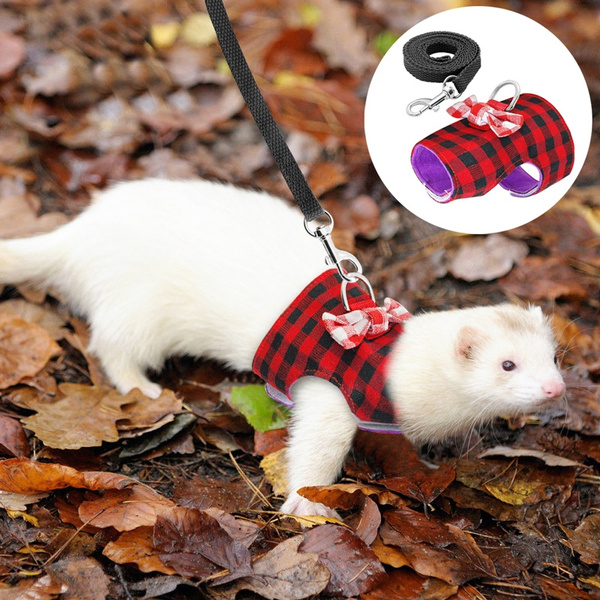 ferret leash and harness