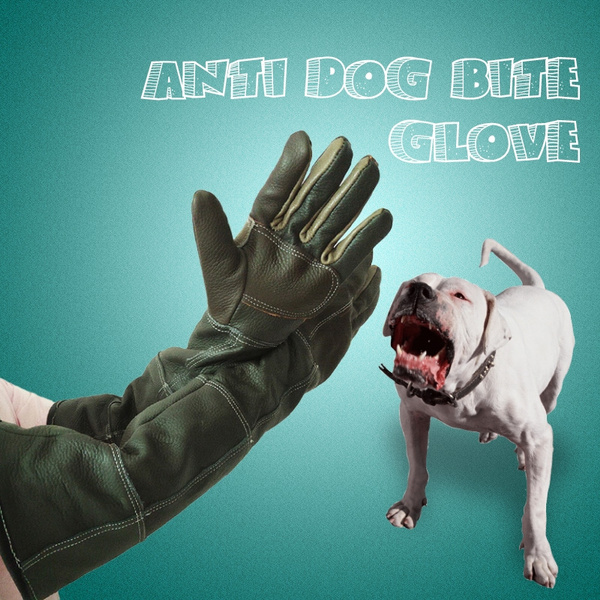 Gloves for biting clearance dogs