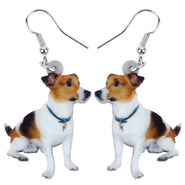 Jack russell outlet accessories