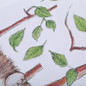 thumbnail - 1