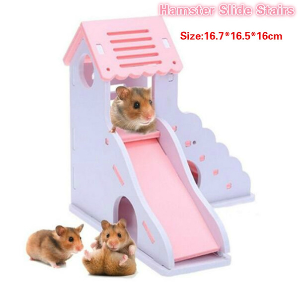 hamster slide